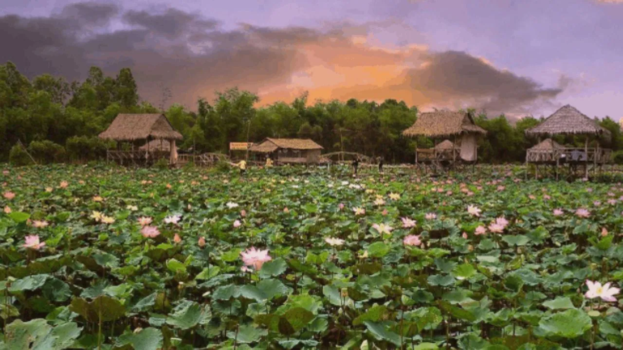 Thuê Xe Sài Gòn Đồng Tháp Có Tài Xế