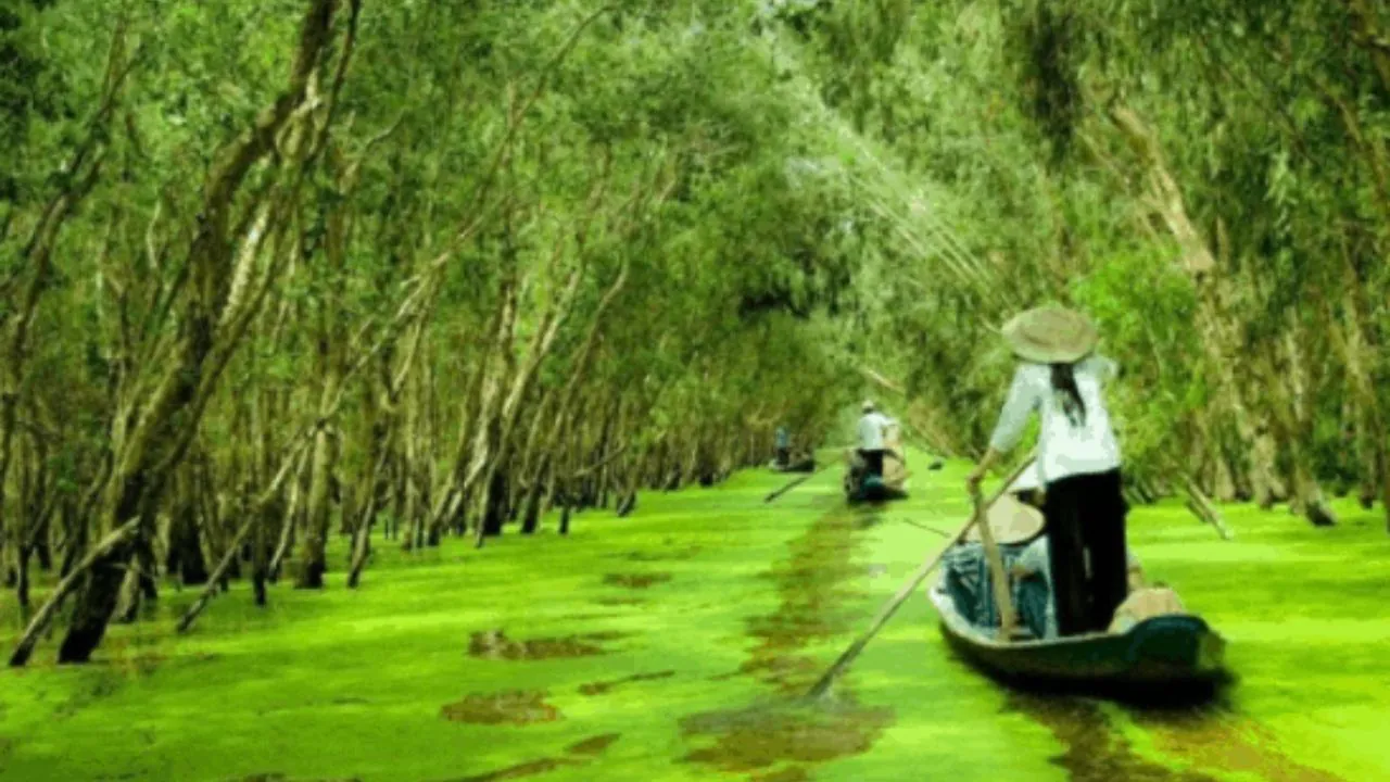 Thuê Xe Sài Gòn Long An Có Tài Xế