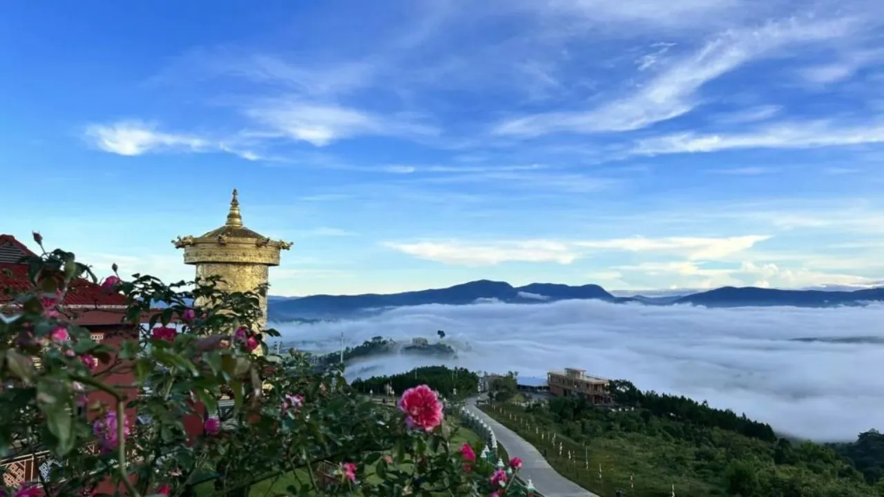 Thuê Xe Sài Gòn Đà Lạt Có Tài Xế